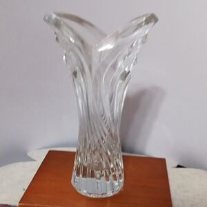 Elegant Clear Glass Vase